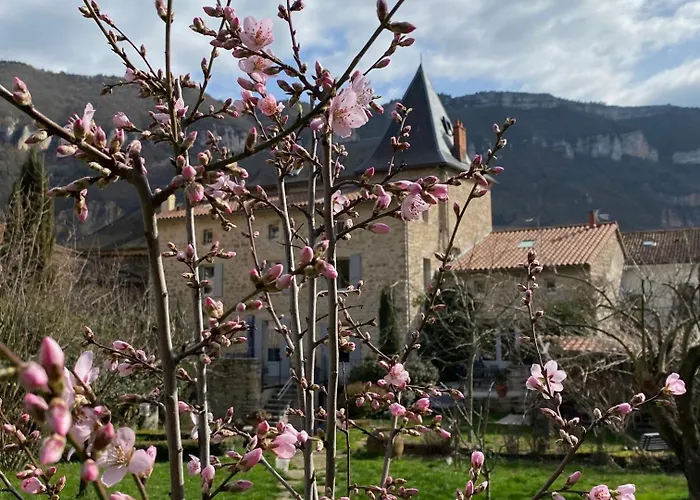 Les Frejals 꼼뻬르